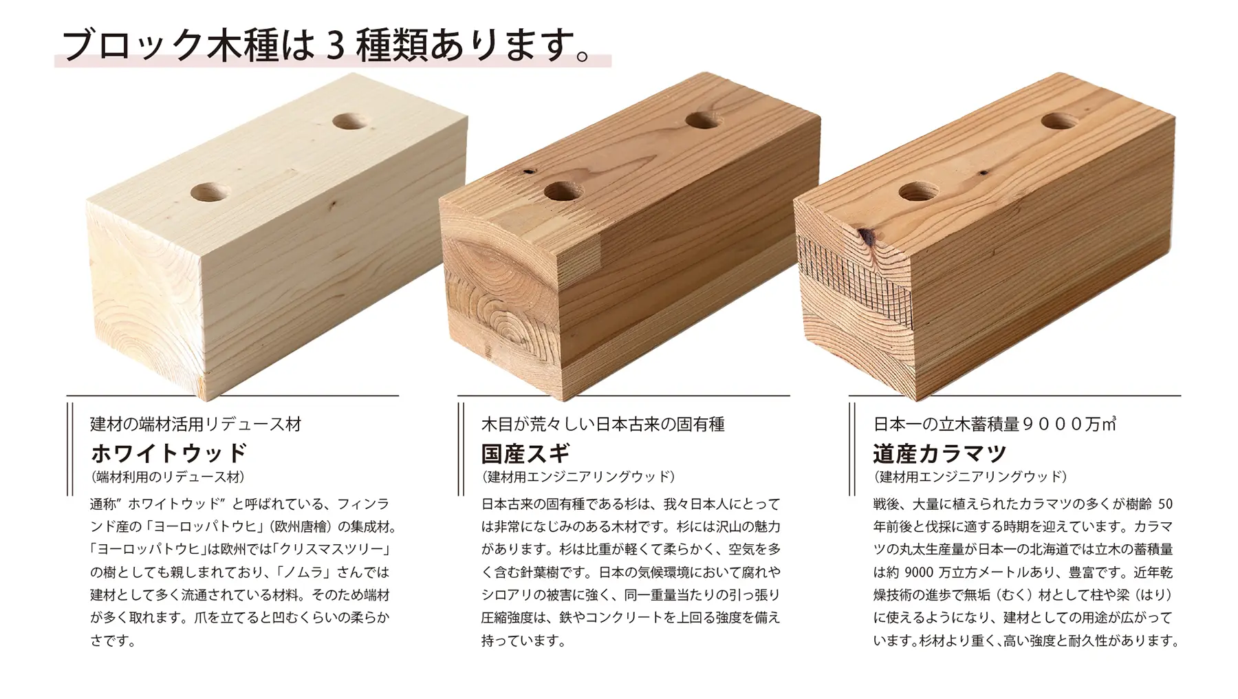 ブロック木種　説明